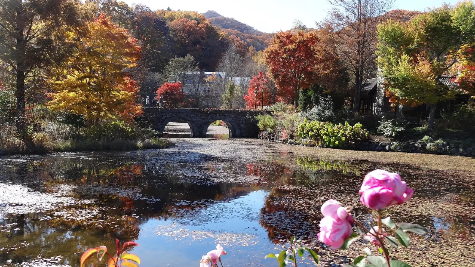 A small bridge over a pond surrounded by autumn foliage in Karuizawa