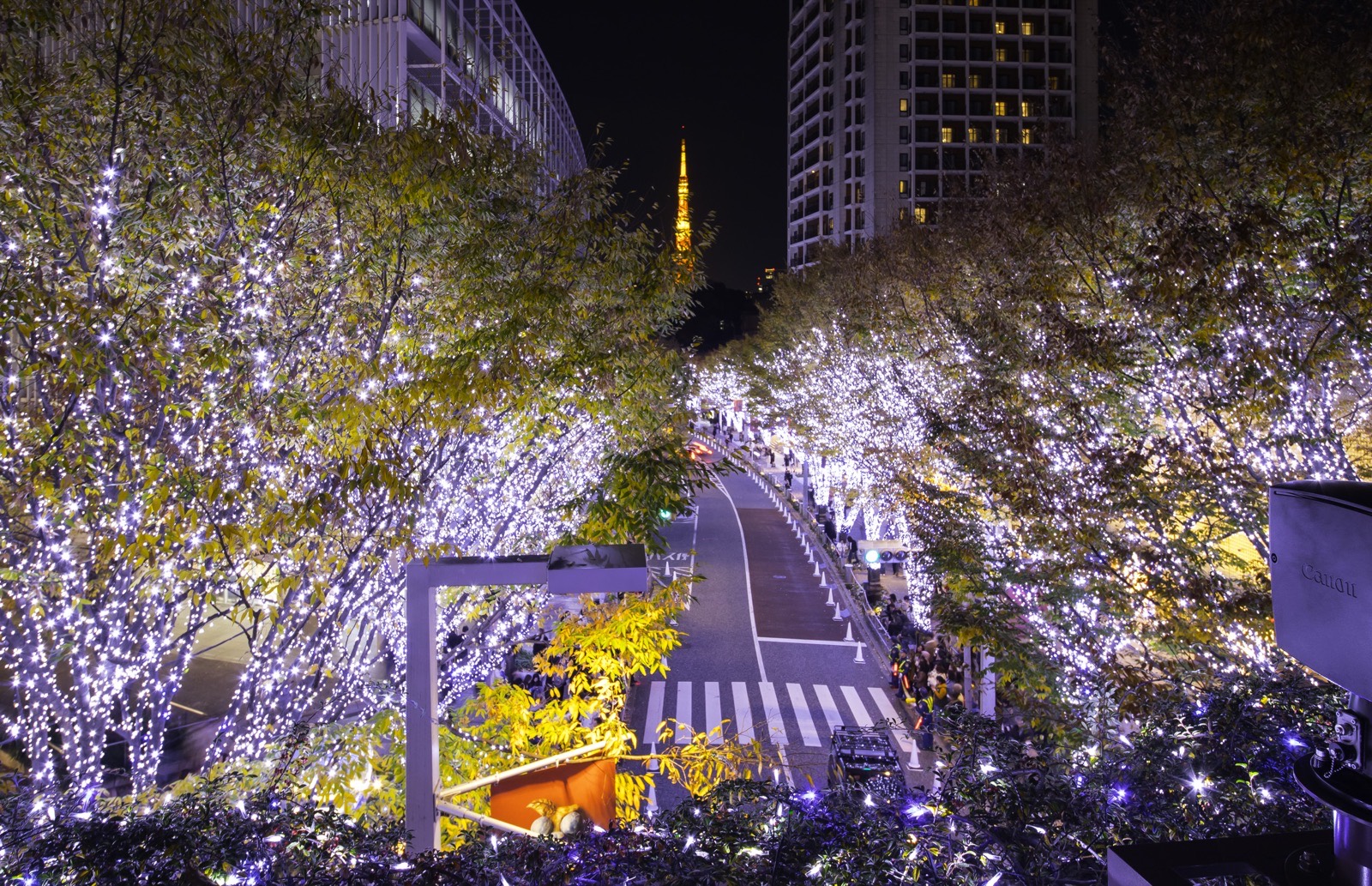 The Keyakizaka slope at Roppongi Hills, blue LEDs running down towards Tokyo Tower