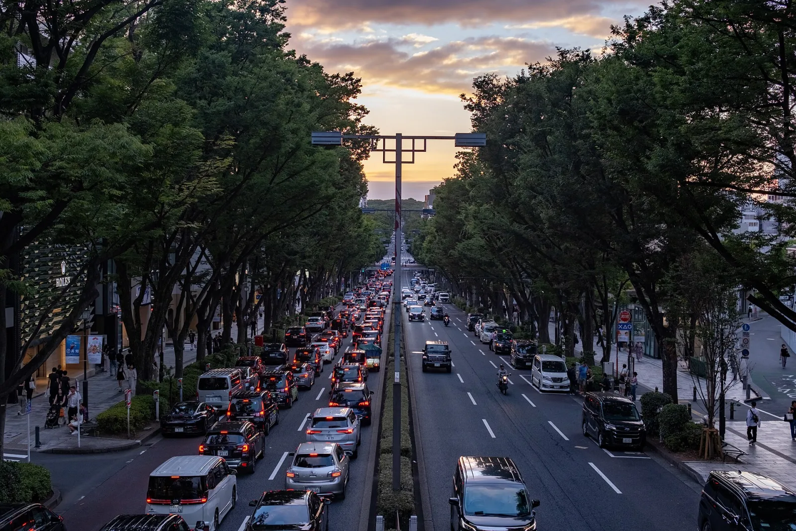 The zelkova lined Omotesando avenue at sunset, seen from a footbridge, with the Meiji Jingu forest at the far end