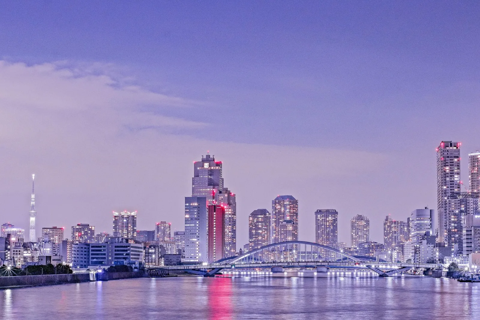 Tokyo Bay and the city skyline at twilight, near teamLab Planets in Toyosu