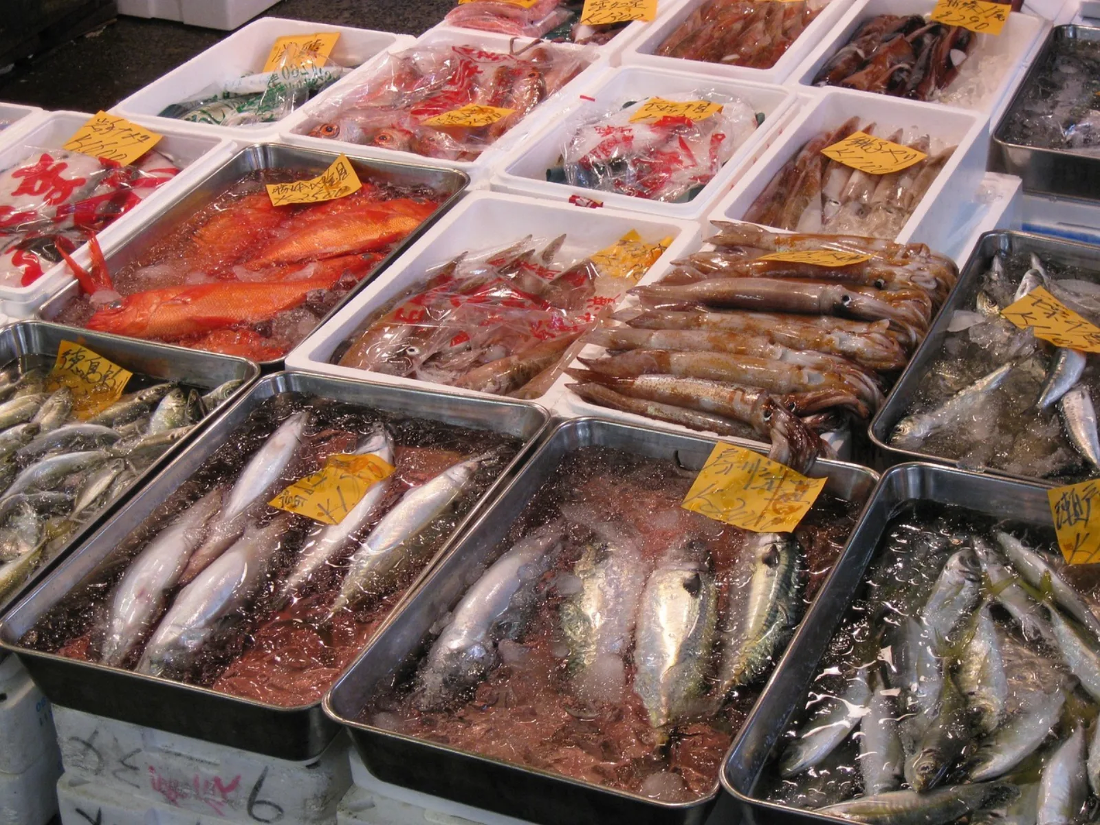 Trays of fresh fish with handwritten price tags at a stall in Tsukiji